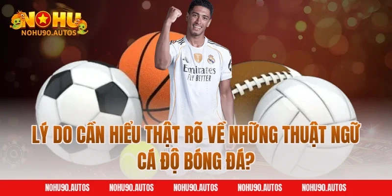 Lý do cần hiểu thật rõ về những thuật ngữ cá độ bóng đá?